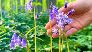 Consigli per organizzare un viaggio in Europa